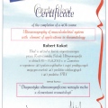Powiększ obraz: certificate 3