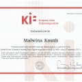 Powiększ obraz: certificate 2