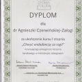 Powiększ obraz: certificate 28
