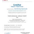 Powiększ obraz: certificate 7