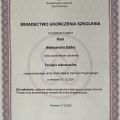 Powiększ obraz: certificate 3