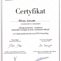 Powiększ obraz: certificate 6