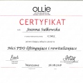 Powiększ obraz: certificate 6