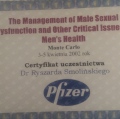 Powiększ obraz: certificate 7