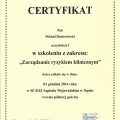 Powiększ obraz: certificate 8