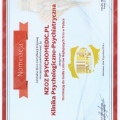 Powiększ obraz: certificate 3