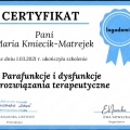 Powiększ obraz: certificate 5
