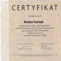 Powiększ obraz: certificate 2