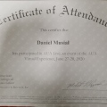 Powiększ obraz: certificate 8