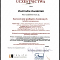 Powiększ obraz: certificate 10