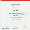 Powiększ obraz: certificate 13