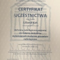 Powiększ obraz: certificate 6