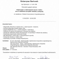 Powiększ obraz: certificate 19