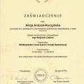 Powiększ obraz: certificate 1