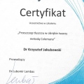 Powiększ obraz: certificate 3