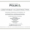 Powiększ obraz: certificate 28
