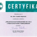 Powiększ obraz: certificate 1