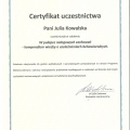 Powiększ obraz: certificate 2