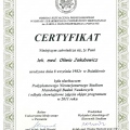 Powiększ obraz: certificate 11