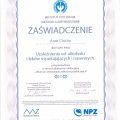 Powiększ obraz: certificate 12