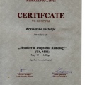 Powiększ obraz: certificate 5