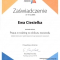 Powiększ obraz: certificate 3