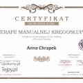 Powiększ obraz: certificate 6
