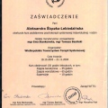 Powiększ obraz: certificate 4
