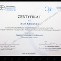 Powiększ obraz: certificate 3