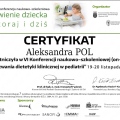Powiększ obraz: certificate 11