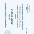 Powiększ obraz: certificate 4