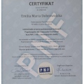 Powiększ obraz: certificate 2