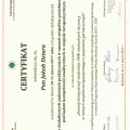Powiększ obraz: certificate 17