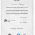 Powiększ obraz: certificate 10