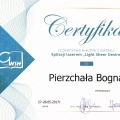 Powiększ obraz: certificate 16