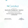 Powiększ obraz: certificate 3