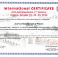 Powiększ obraz: certificate 3