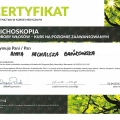Powiększ obraz: certificate 9