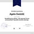 Powiększ obraz: certificate 7
