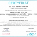 Powiększ obraz: certificate 4