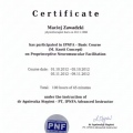 Powiększ obraz: certificate 5