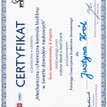Powiększ obraz: certificate 4