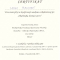 Powiększ obraz: certificate 30