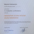 Powiększ obraz: certificate 11
