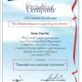 Powiększ obraz: certificate 16