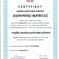 Powiększ obraz: certificate 1