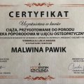 Powiększ obraz: certificate 1