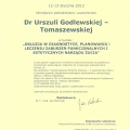 Powiększ obraz: certificate 22
