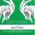 Powiększ obraz: certificate 44