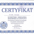 Powiększ obraz: certificate 45
